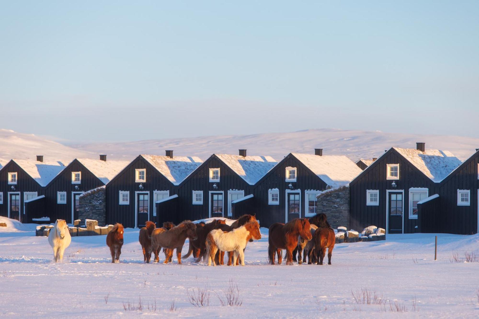 Torfhus Retreat Hotel Selfoss Luaran gambar